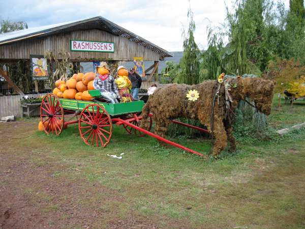 Pumpkin Funland