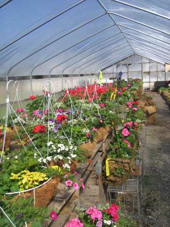 Greenhouse