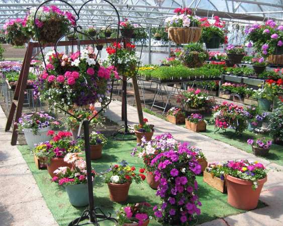 Greenhouse